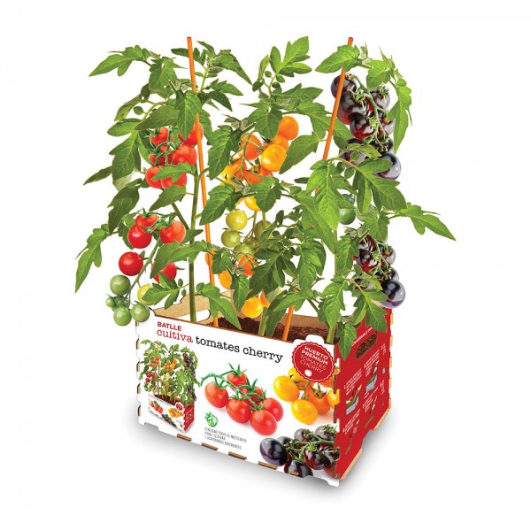 Caja de tomates de colores 30 x 19,5 x 16,2 cm